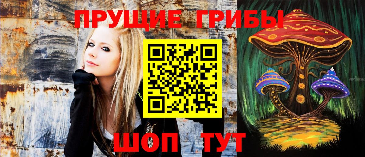 Гуково  Псилоцибиновые грибы GOLDEN TEACHER  Вход с VPN 